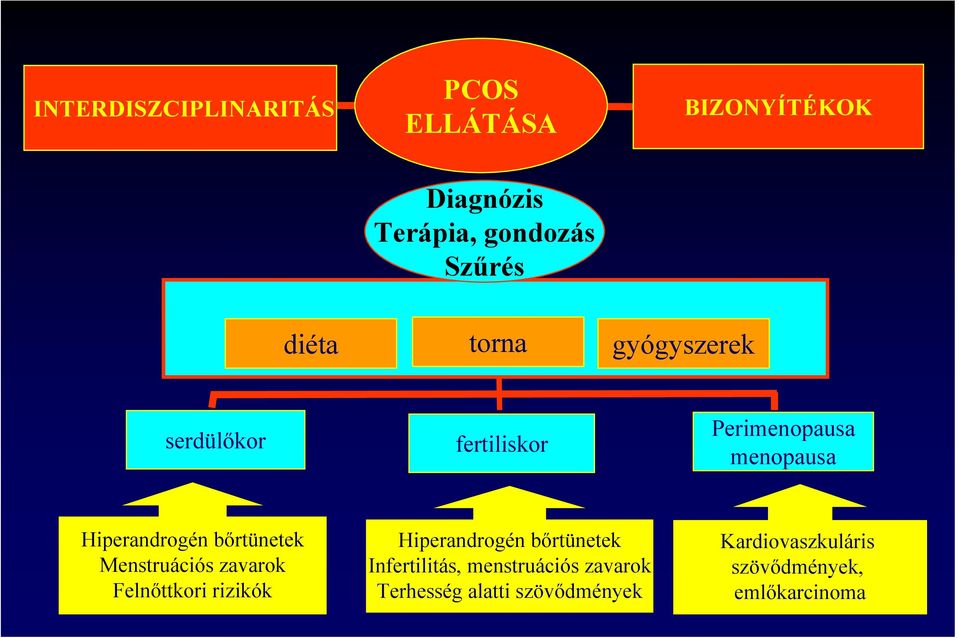 bőrtünetek Menstruációs zavarok Felnőttkori rizikók Hiperandrogén bőrtünetek