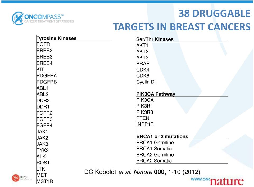 AKT2 AKT3 BRAF CDK4 CDK6 Cyclin D1 PIK3CA Pathway PIK3CA PIK3R1 PIK3R3 PTEN INPP4B BRCA1 or 2