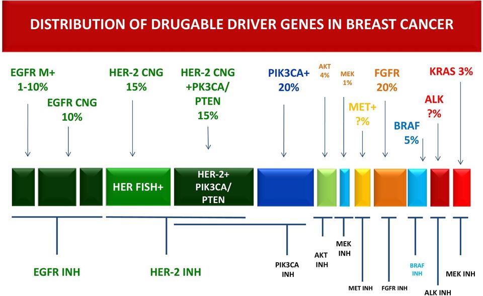 MET+?% FGFR 20% BRAF 5% KRAS 3% ALK?