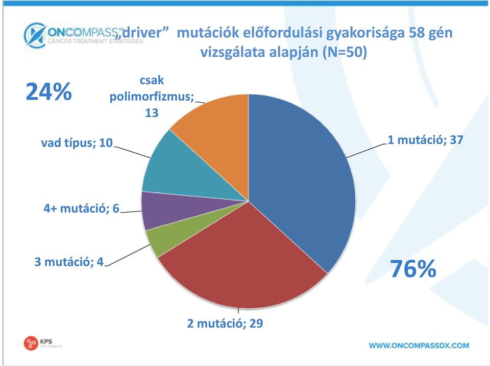 polimorfizmus; 13 vad típus; 10 1 mutáció;