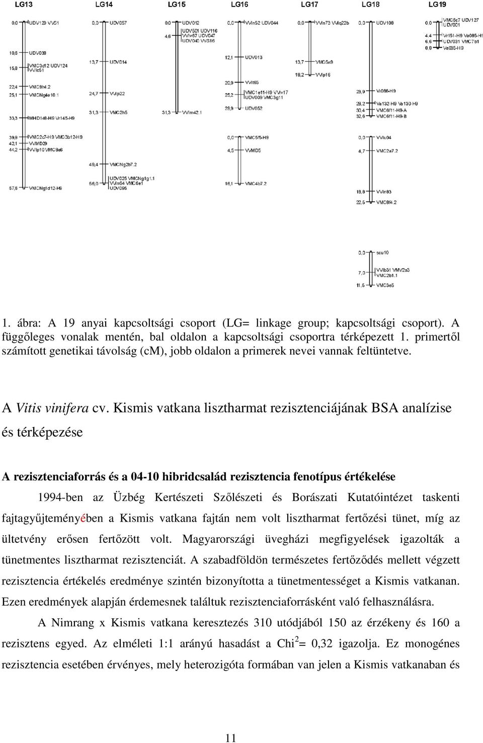 Kismis vatkana lisztharmat rezisztenciájának BSA analízise és térképezése A rezisztenciaforrás és a 04-10 hibridcsalád rezisztencia fenotípus értékelése 1994-ben az Üzbég Kertészeti Szılészeti és