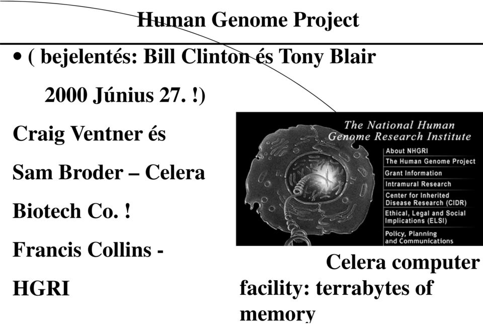 !) Craig Ventner és Sam Broder Celera Biotech Co.