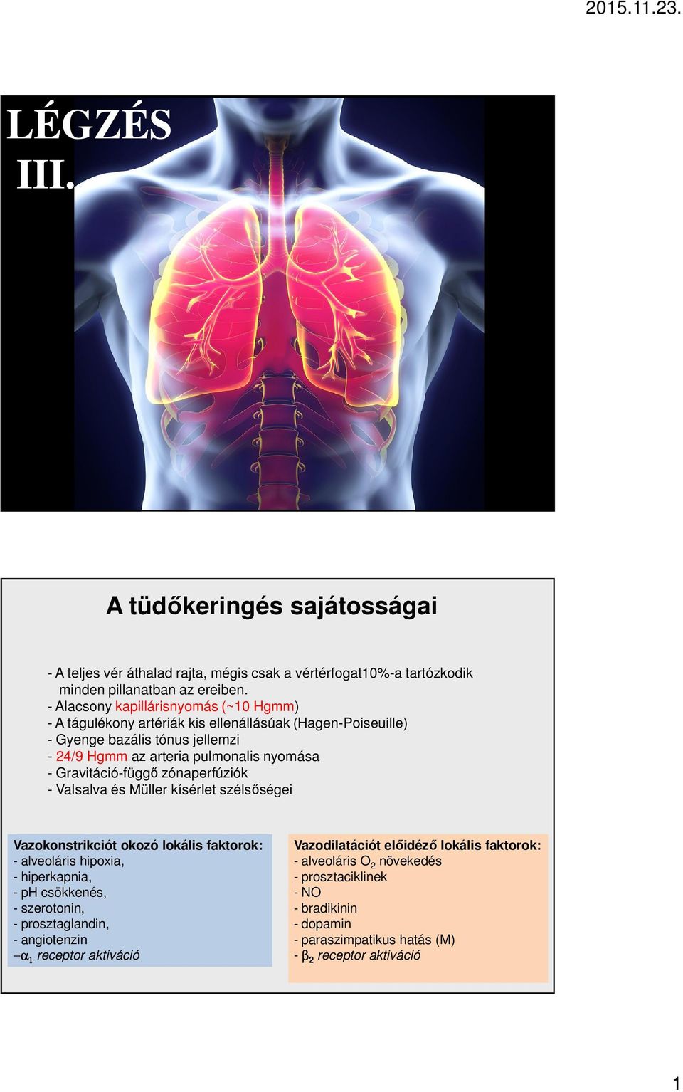 Gravitáció-függő zónaperfúziók - Valsalva és Müller kísérlet szélsőségei Vazokonstrikciót okozó lokális faktorok: - alveoláris hipoxia, - hiperkapnia, - ph csökkenés, - szerotonin,