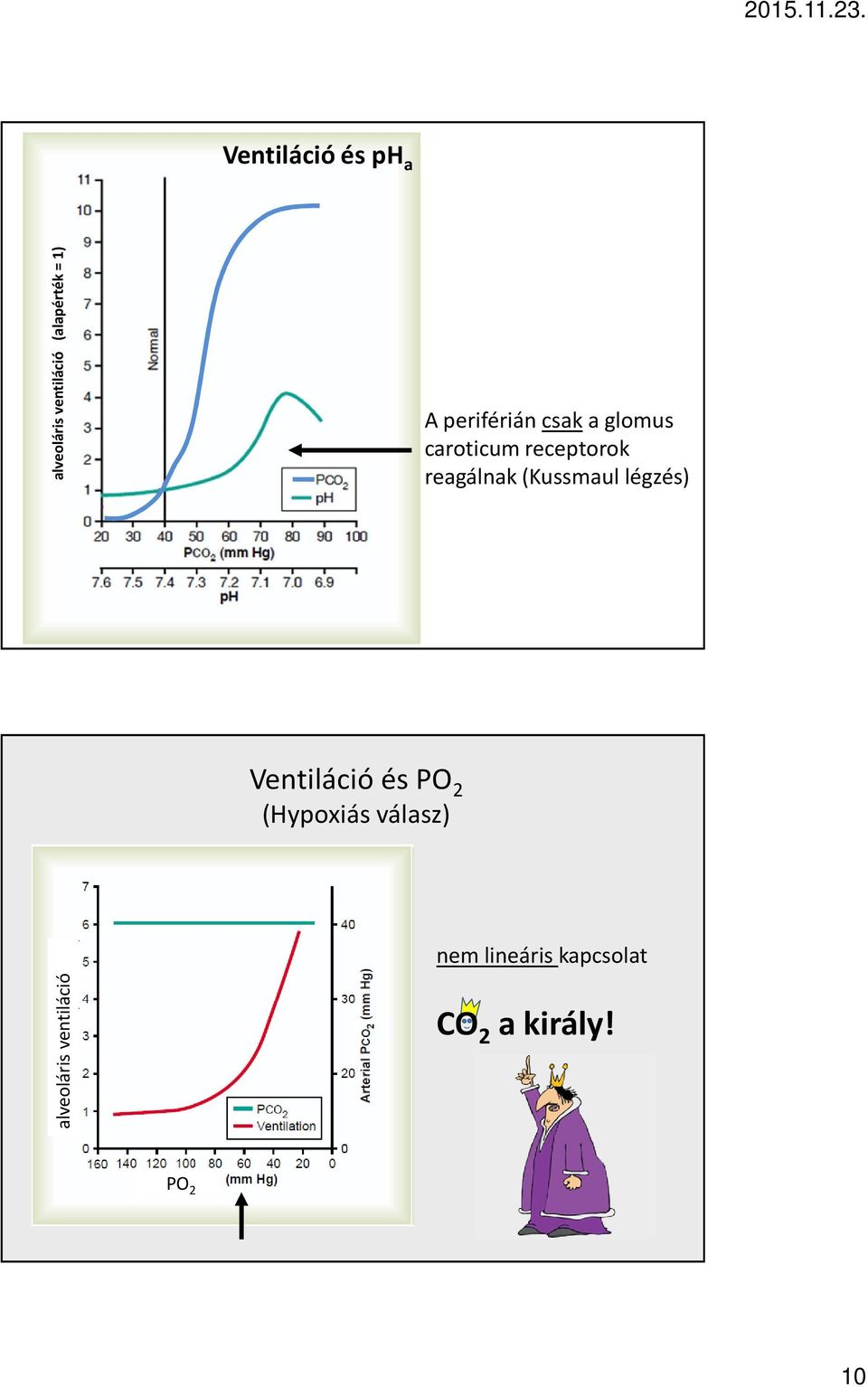 (Kussmaul légzés) Ventiláció és PO 2 (Hypoxiás válasz) nem