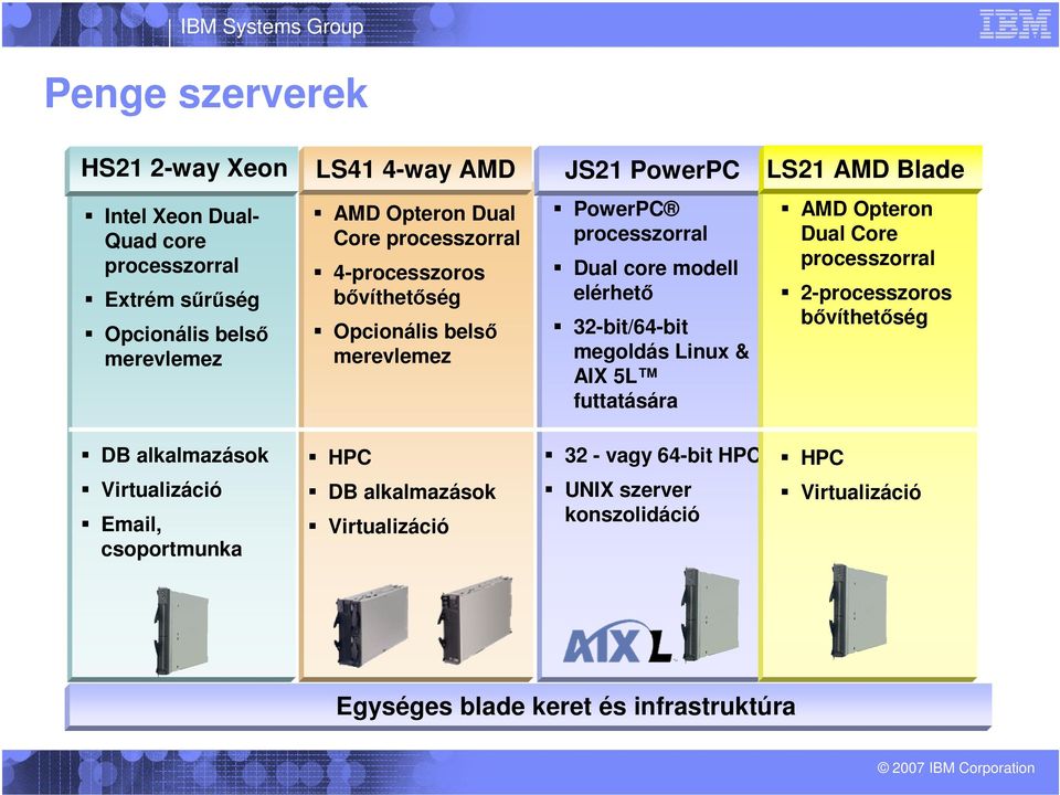 32-bit/64-bit megoldás Linux & AIX 5L futtatására AMD Opteron Dual Core processzorral 2-processzoros bővíthetőség DB alkalmazások HPC 32 - vagy 64-bit