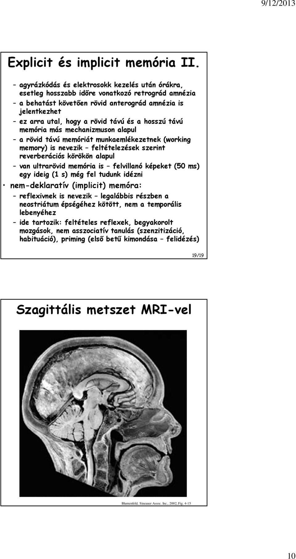 hosszú távú memória más mechanizmuson alapul a rövid távú memóriát munkaemlékezetnek (working memory) is nevezik feltételezések szerint reverberációs körökön alapul van ultrarövid memória is