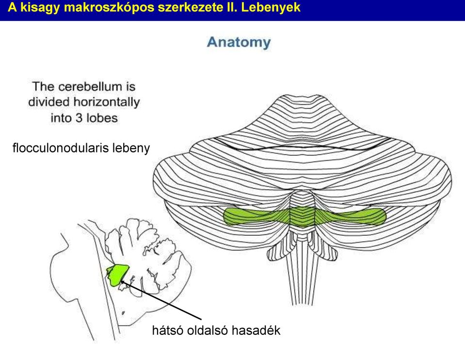 Lebenyek