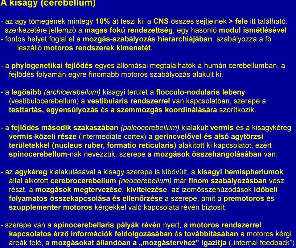 - a phylogenetikai fejlődés egyes állomásai megtalálhatók a humán cerebellumban, a fejlődés folyamán egyre finomabb motoros szabályozás alakult ki.