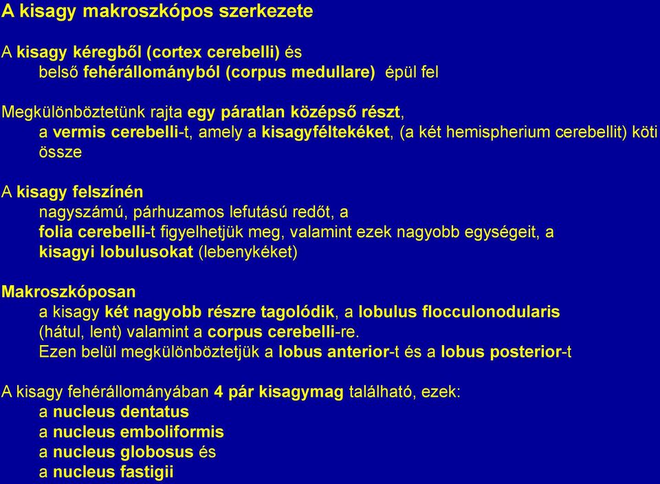 nagyobb egységeit, a kisagyi lobulusokat (lebenykéket) Makroszkóposan a kisagy két nagyobb részre tagolódik, a lobulus flocculonodularis (hátul, lent) valamint a corpus cerebelli-re.