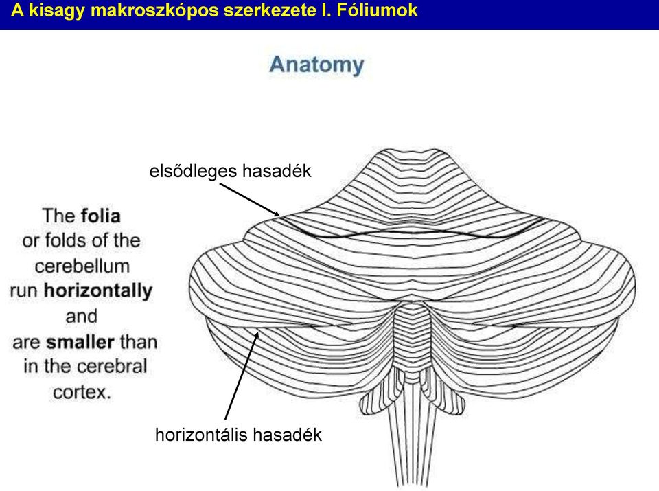 szerkezete I.