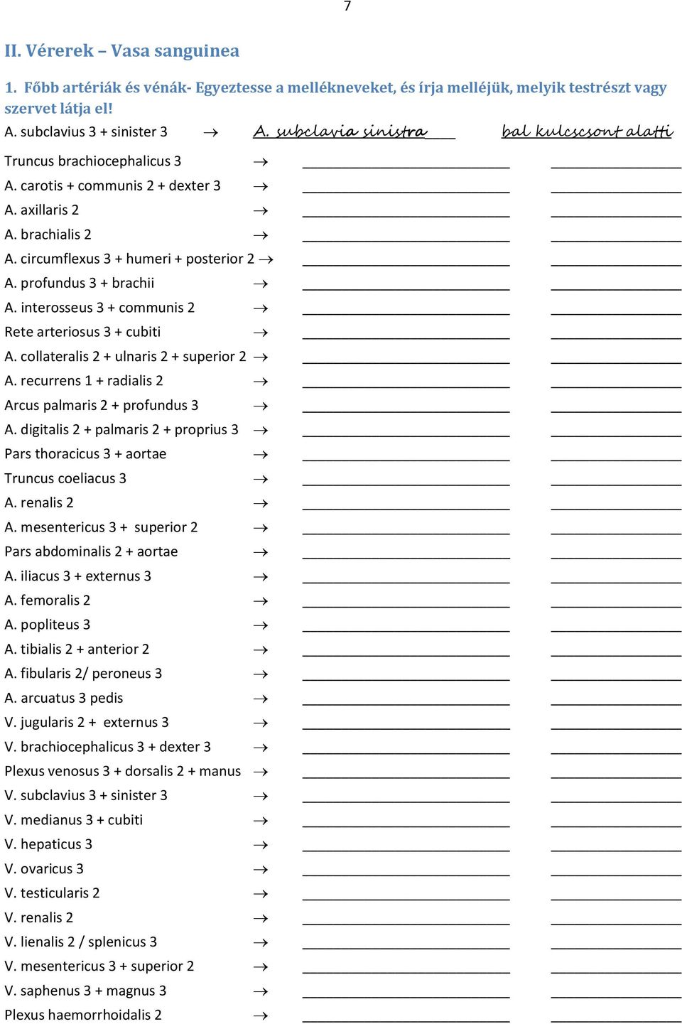 profundus 3 + brachii A. interosseus 3 + communis 2 Rete arteriosus 3 + cubiti A. collateralis 2 + ulnaris 2 + superior 2 A. recurrens 1 + radialis 2 Arcus palmaris 2 + profundus 3 A.