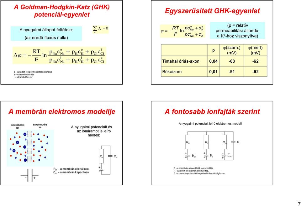 ) (mv) (mért) (mv) Tntahal órás-axon 0,04-63 -62 p az adott on permeabltás állandója e extracellulárs tér ntracellulárs tér Békazom 0,01-91 -92 A membrán elektromos modellje A nyugalm potencált