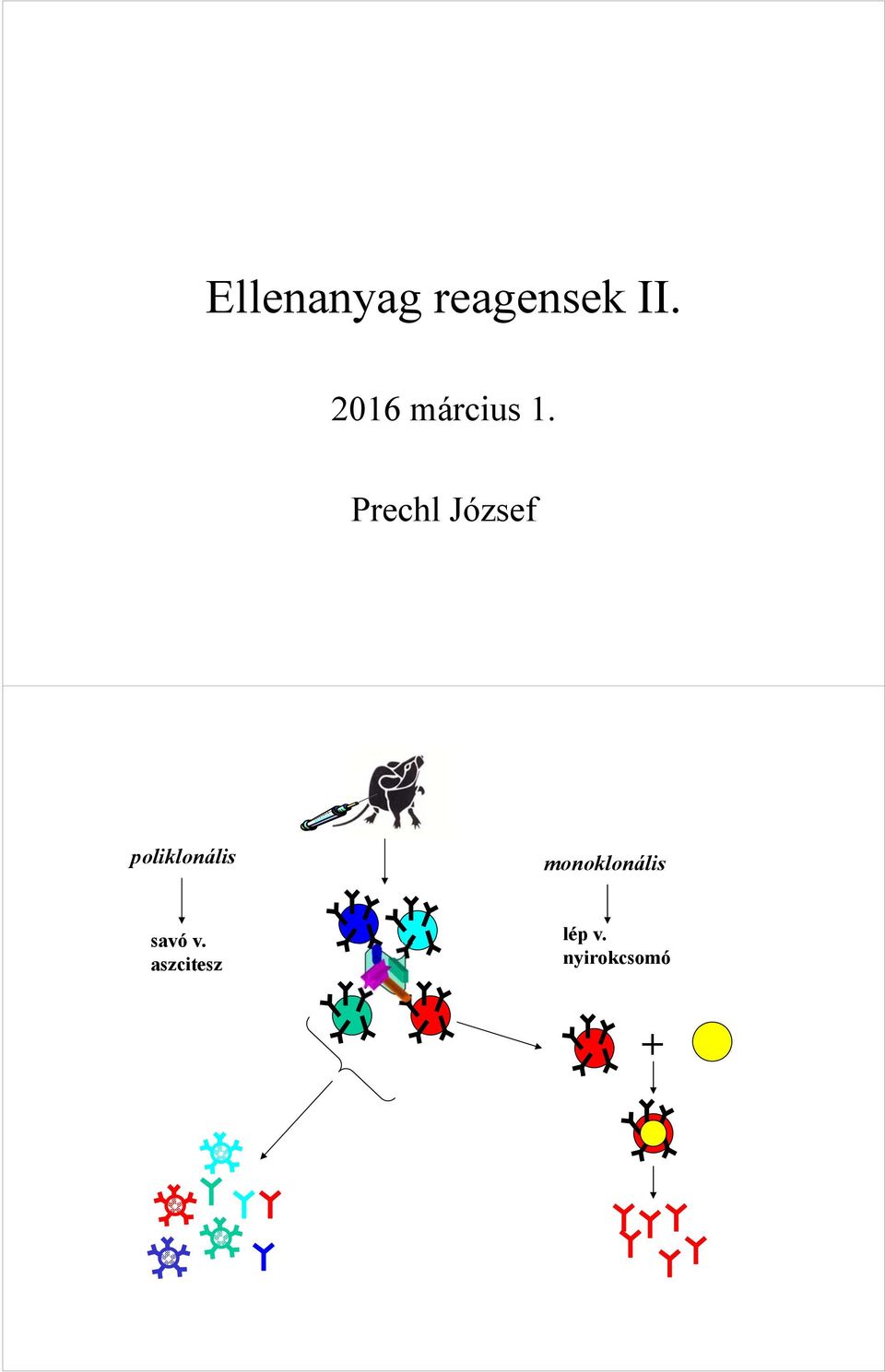 Prechl József poliklonális