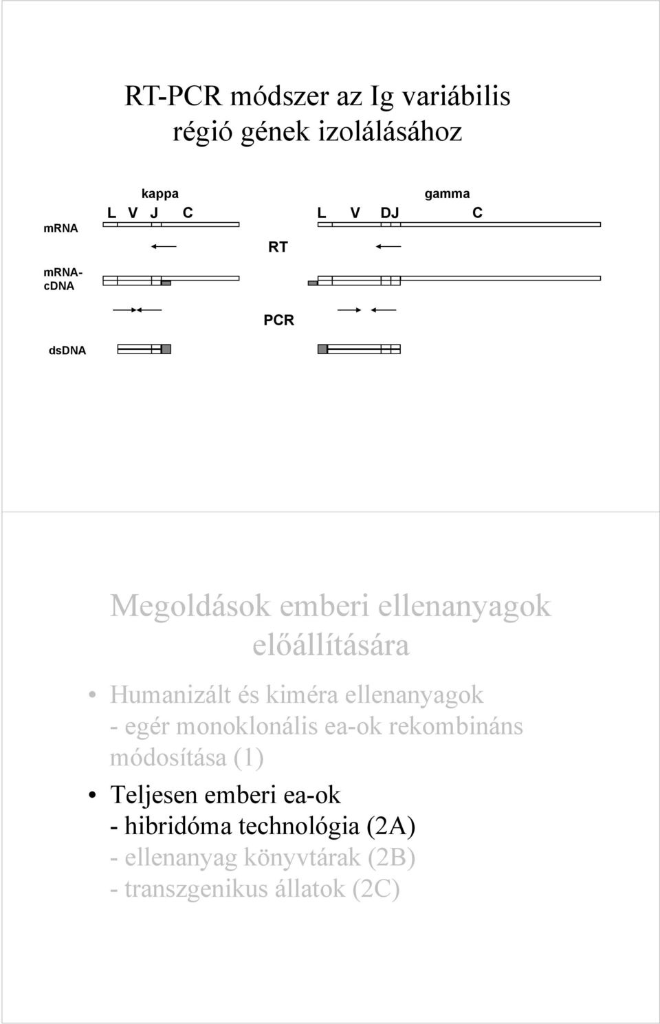 kiméra ellenanyagok - egér monoklonális ea-ok rekombináns módosítása (1) Teljesen emberi