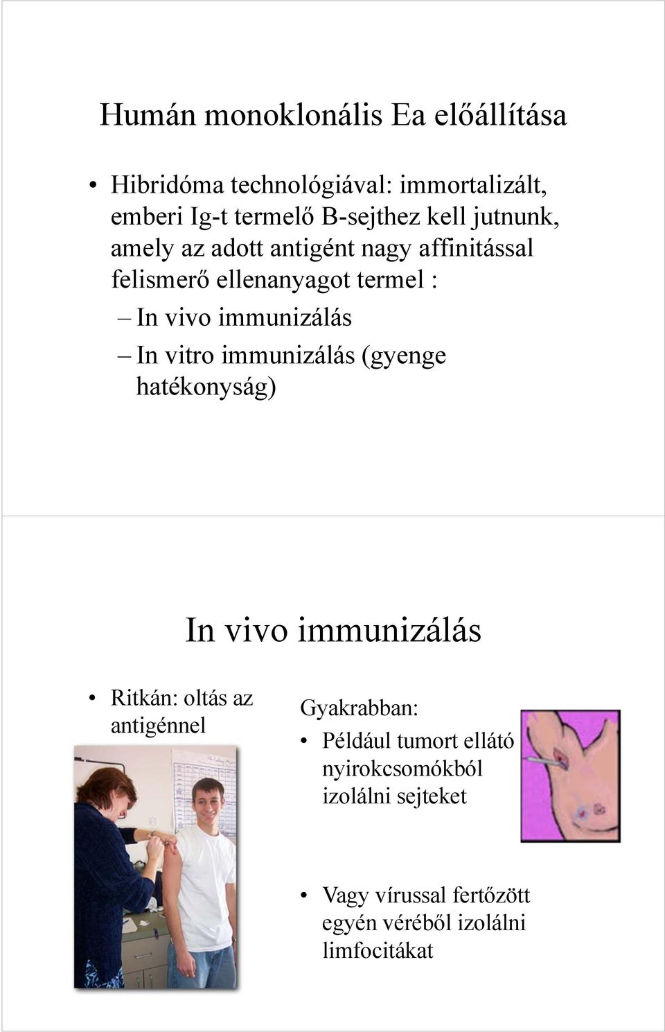 In vitro immunizálás (gyenge hatékonyság) In vivo immunizálás Ritkán: oltás az antigénnel Gyakrabban: