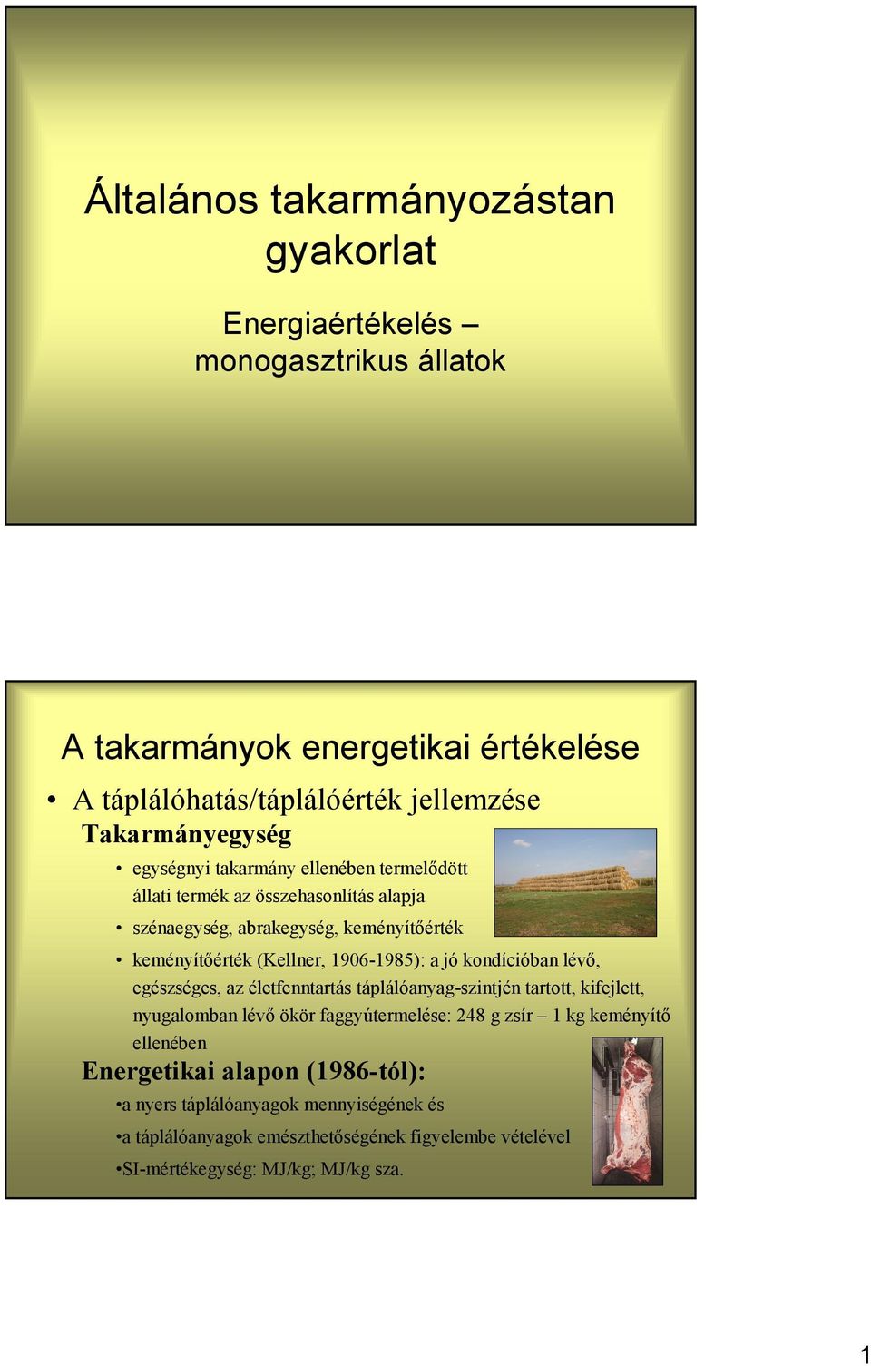 lévő, egészséges, az életfenntartás táplálóanyag-szintjén tartott, kifejlett, nyugalomban lévő ökör faggyútermelése: 248 g zsír 1 kg keményítő ellenében