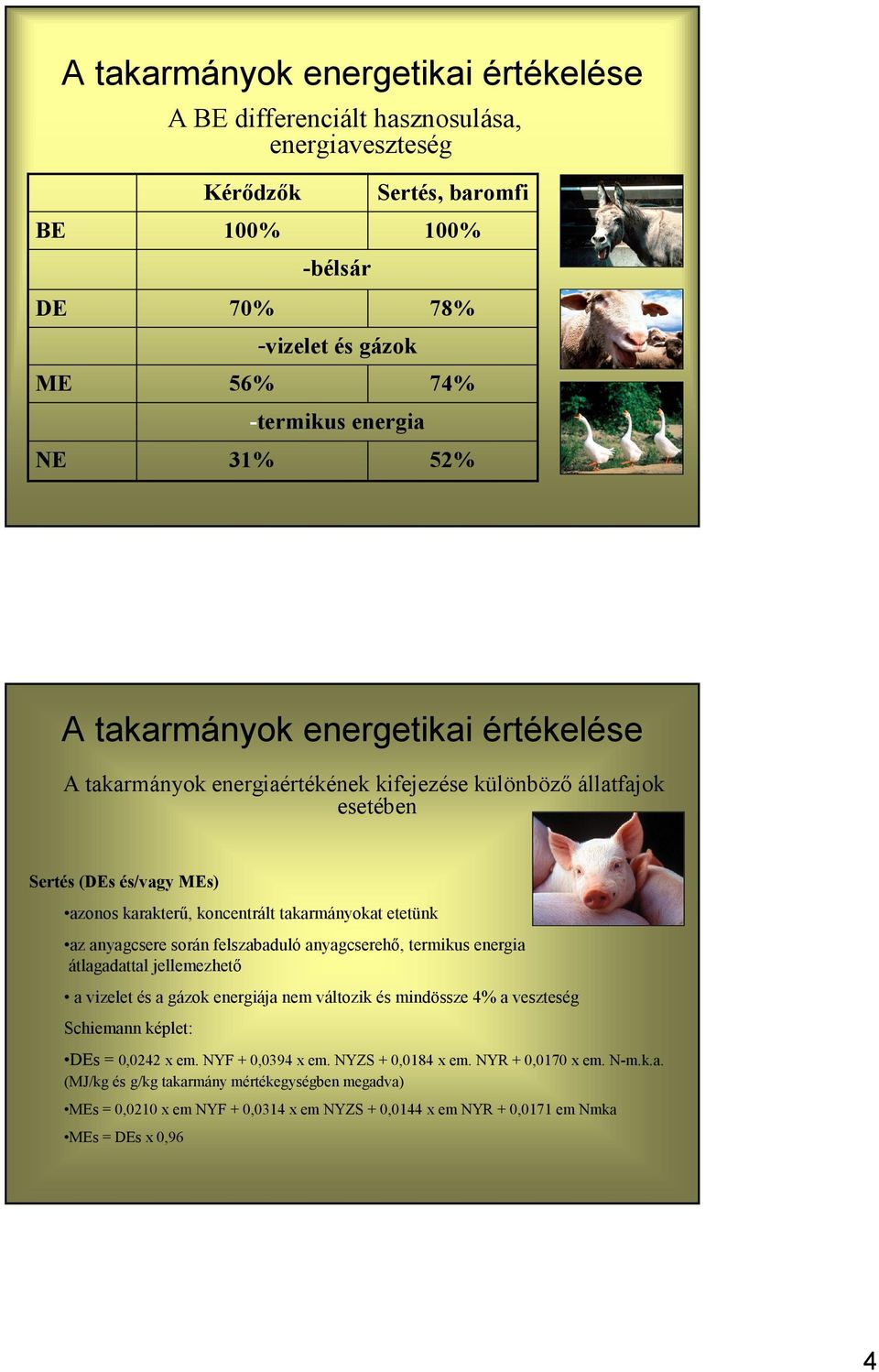 átlagadattal jellemezhető a vizelet és a gázok energiája nem változik és mindössze 4% a veszteség Schiemann képlet: DEs 0,0242 em. NYF + 0,0394 em.