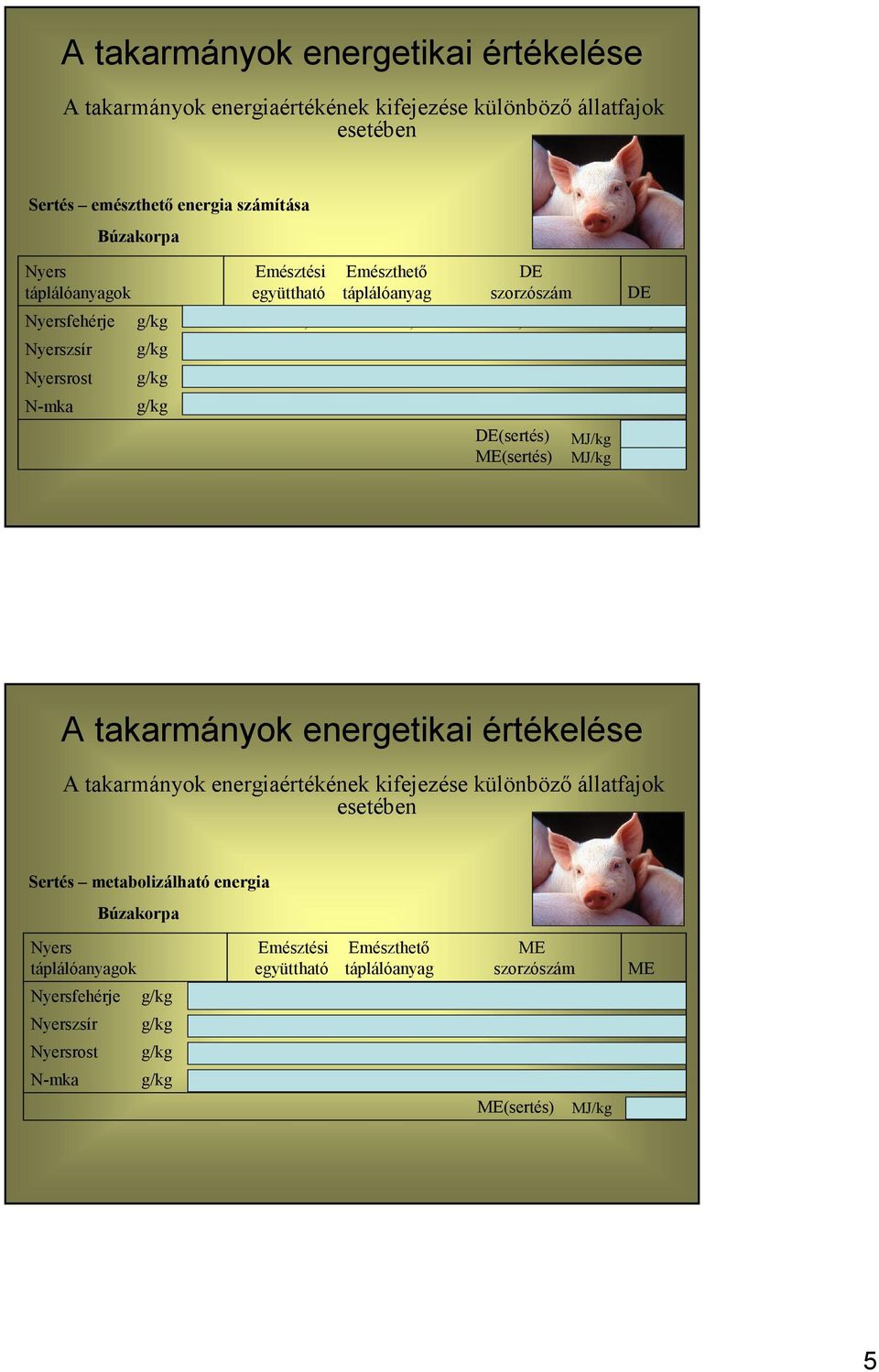 MJ/kg 9,526 9,145 Sertés metabolizálható energia Búzakorpa Nyers táplálóanyagok Nyersfehérje Nyerszsír Nyersrost N-mka 152 34 97 552 Emésztési együttható