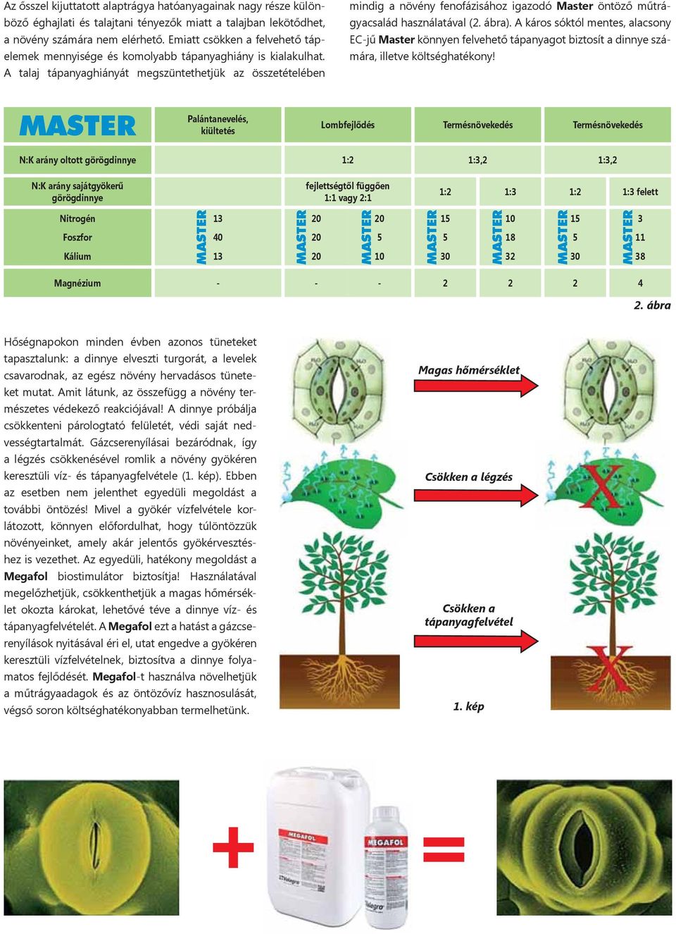 A talaj tápanyaghiányát megszüntethetjük az összetételében mindig a növény fenofázisához igazodó Master öntöző műtrágyacsalád használatával (2. ábra).