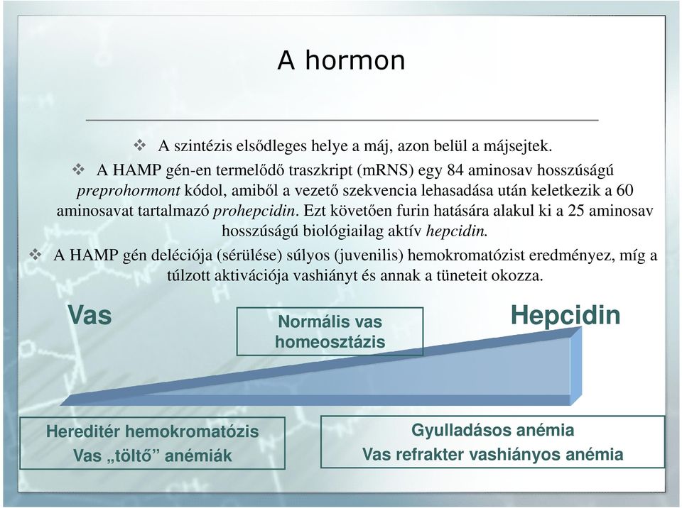 aminosavat tartalmazó prohepcidin. Ezt követően furin hatására alakul ki a 25 aminosav hosszúságú biológiailag aktív hepcidin.