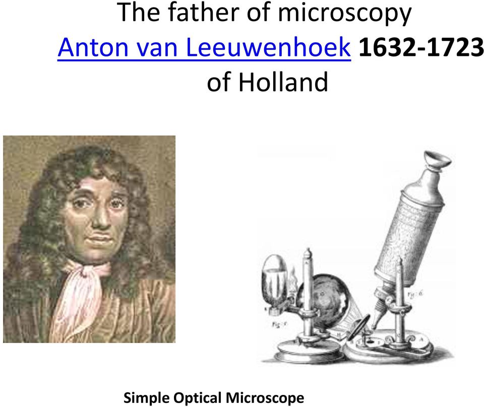 Leeuwenhoek 1632-1723