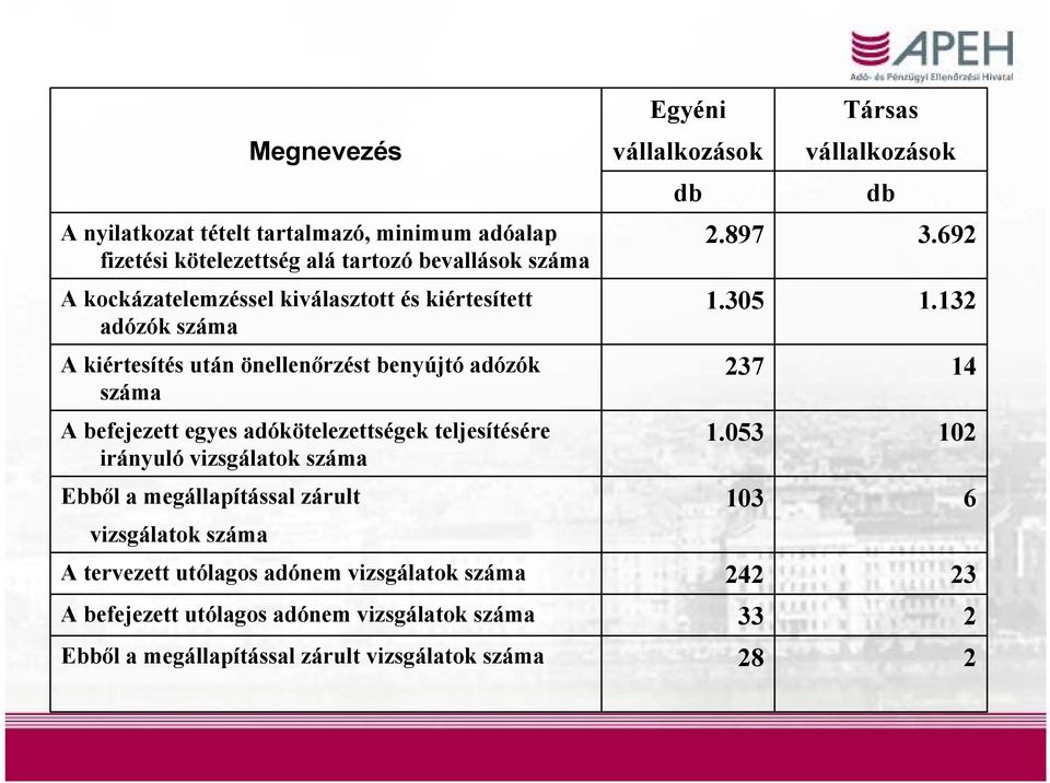 a megállapítással zárult vizsgálatok száma Megnevezés A tervezett utólagos adónem vizsgálatok száma A befejezett utólagos adónem vizsgálatok száma Ebből