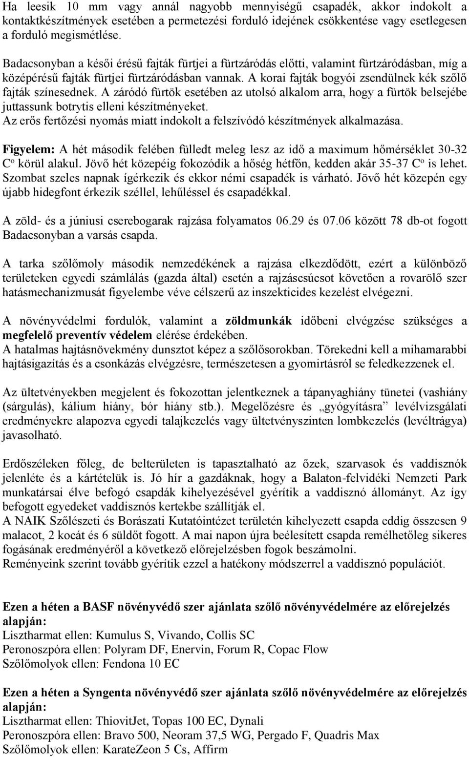 A korai fajták bogyói zsendülnek kék szőlő fajták színesednek. A záródó fürtök esetében az utolsó alkalom arra, hogy a fürtök belsejébe juttassunk botrytis elleni készítményeket.