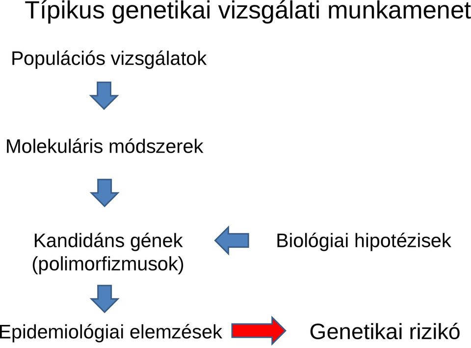 Kandidáns gének (polimorfizmusok)