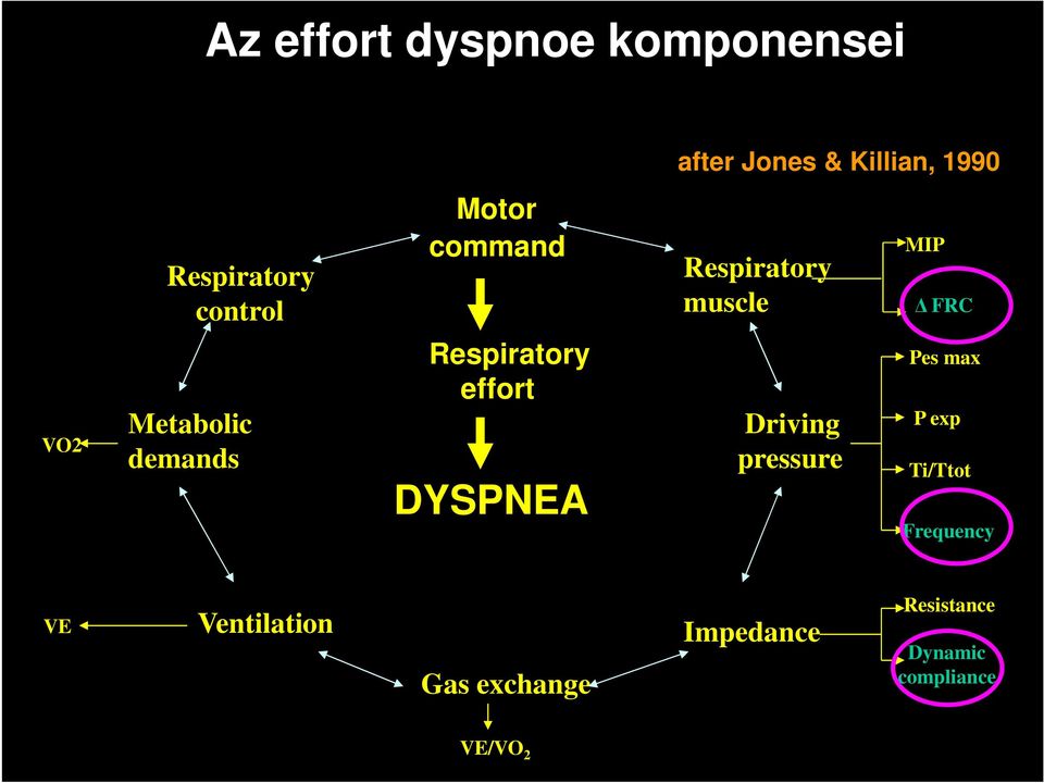 Respiratory effort DYSPNEA Driving pressure Pes max P exp Ti/Ttot