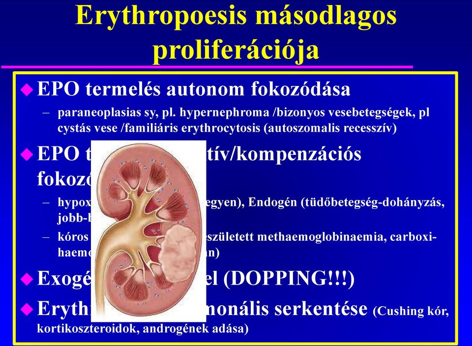 reaktív/kompenzációs fokozódása hypoxia: Exogén (magas hegyen), Endogén (tüdőbetegség-dohányzás, jobb-bal shunt) kóros haemoglobinok