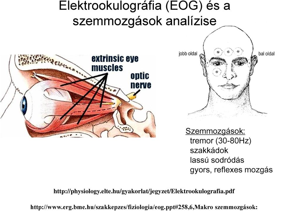 http://physiology.elte.hu/gyakorlat/jegyzet/elektrookulografia.