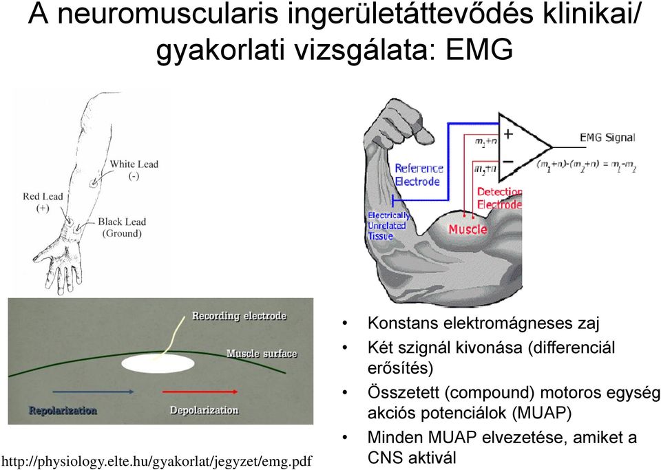 pdf Konstans elektromágneses zaj Két szignál kivonása (differenciál