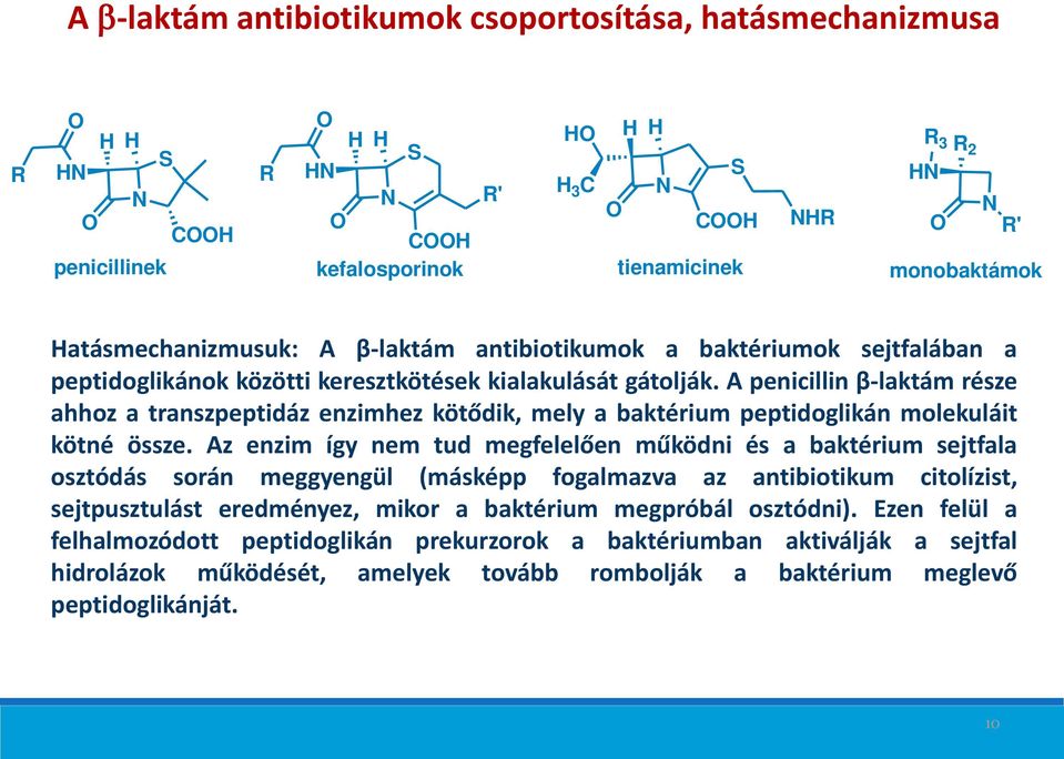 A penicillin β-laktám része ahhoz a transzpeptidáz enzimhez kötődik, mely a baktérium peptidoglikán molekuláit kötné össze.