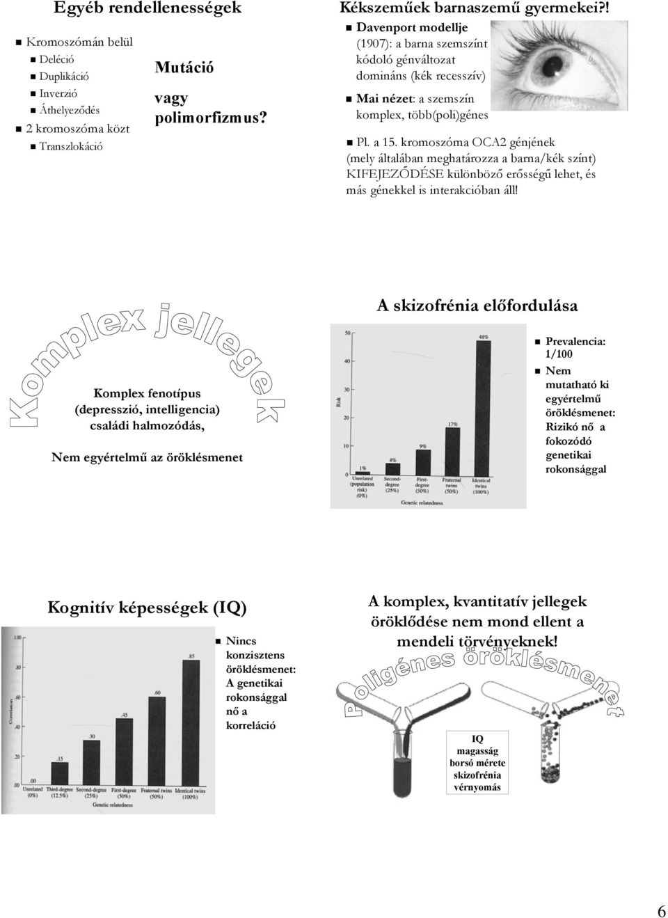 kromoszóma OCA2 génjének (mely általában meghatározza a barna/kék színt) KIFEJEZŐDÉSE különböző erősségű lehet, és más génekkel is interakcióban áll!