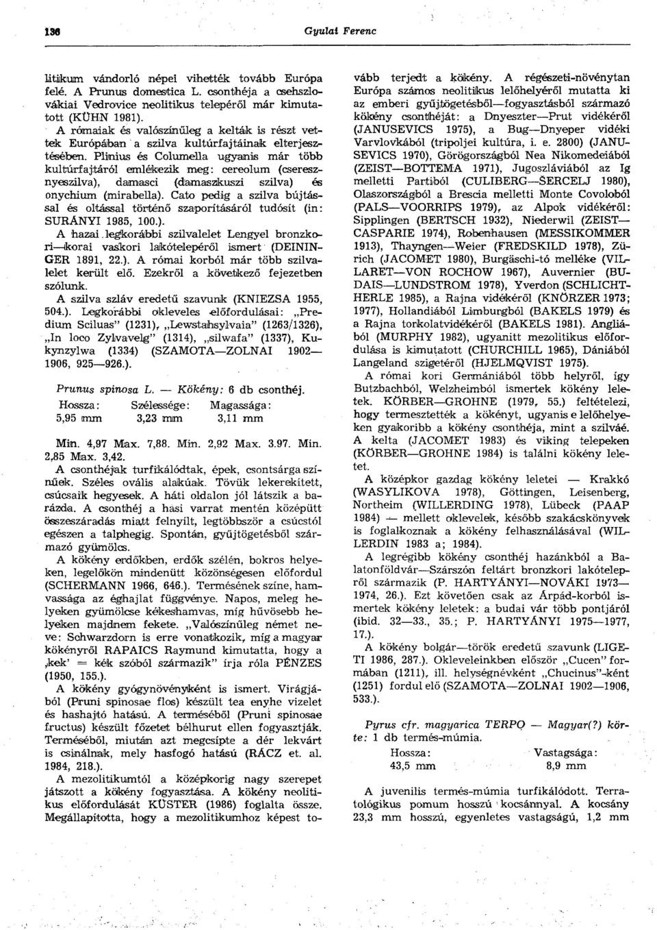 Plinius és Columella ugyanis már több kultúrfajtáról emlékezik meg: cereolum (cseresznyeszilva), damasci (damaszkuszi szilva) és onychium (mirabella).