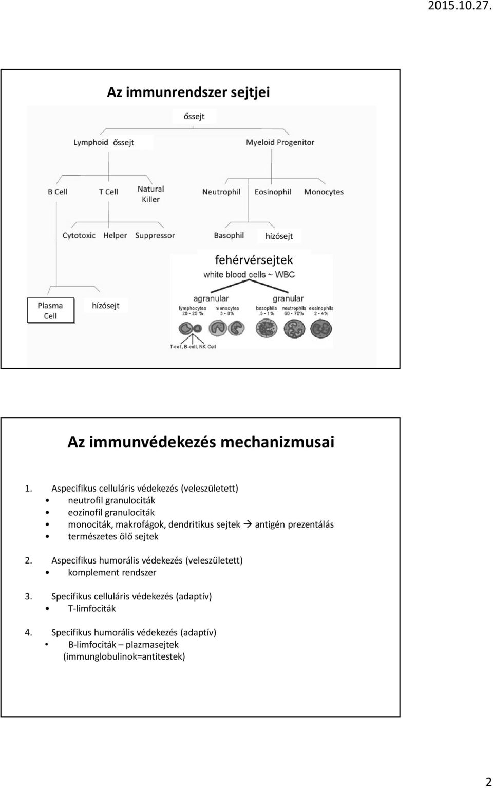 dendritikus sejtek antigén prezentálás természetes ölő sejtek 2.