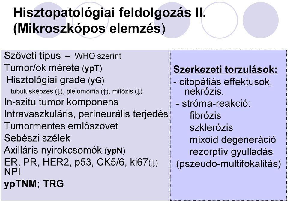 ), mitózis ( ) In-szitu tumor komponens Intravaszkuláris, perineurális terjedés Tumormentes emlőszövet Sebészi szélek Axilláris