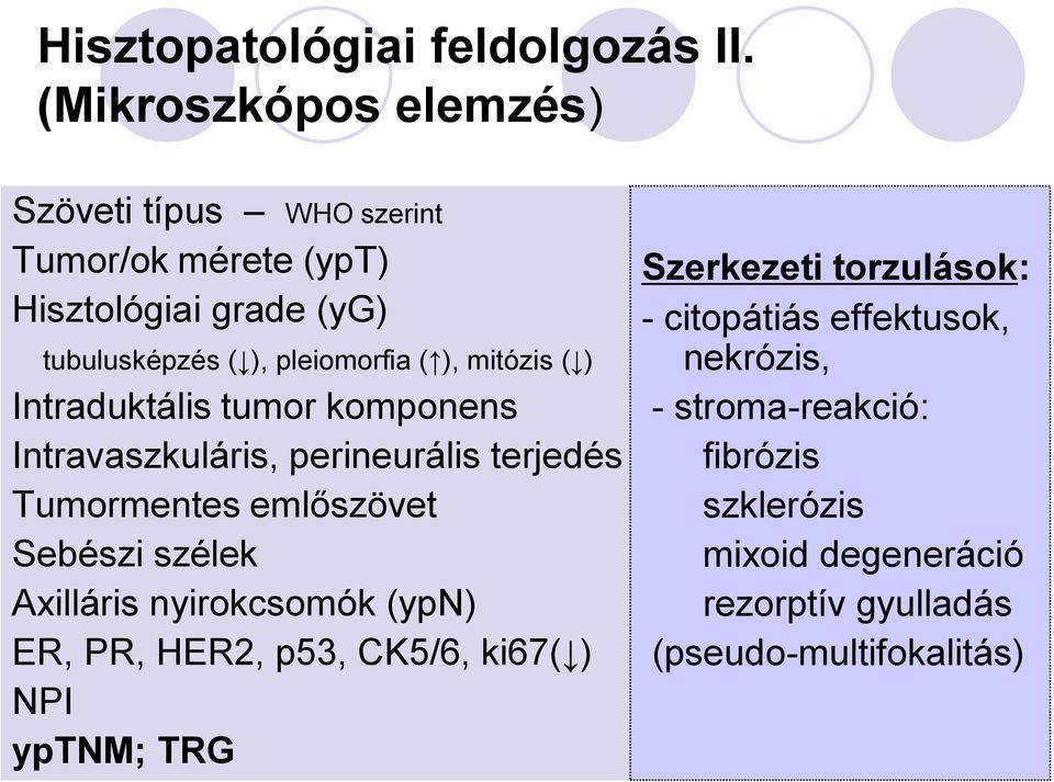 ), mitózis ( ) Intraduktális tumor komponens Intravaszkuláris, perineurális terjedés Tumormentes emlőszövet Sebészi szélek