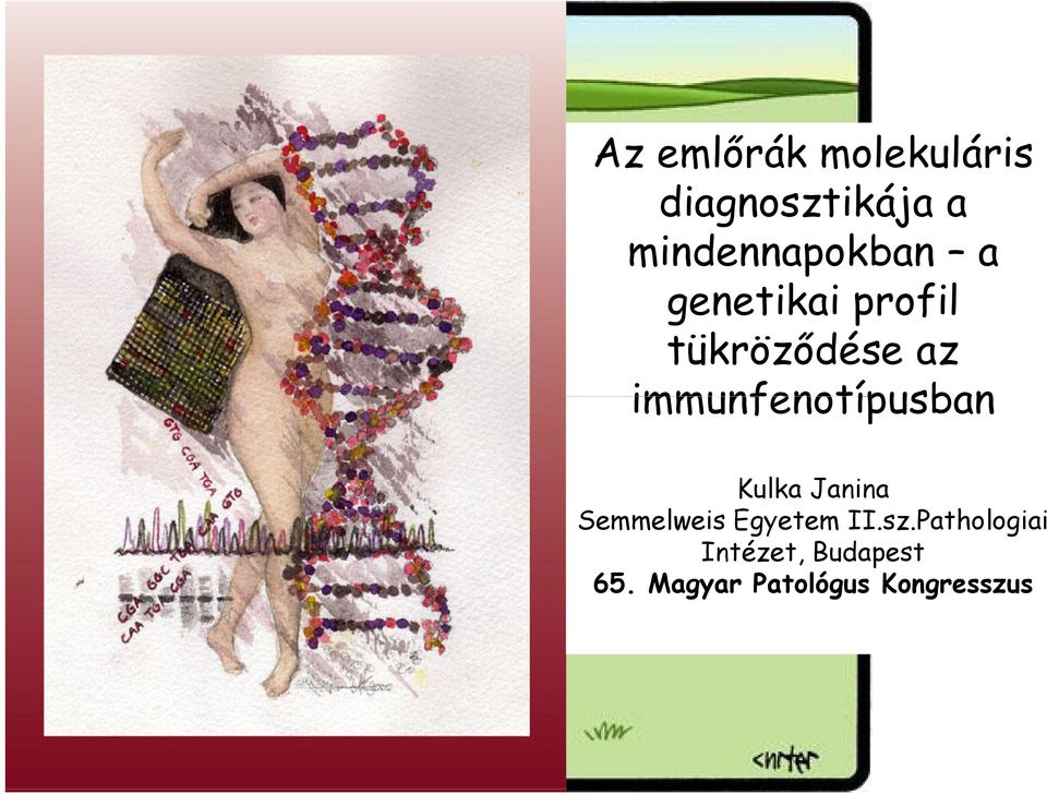 immunfenotípusban Kulka Janina Semmelweis Egyetem