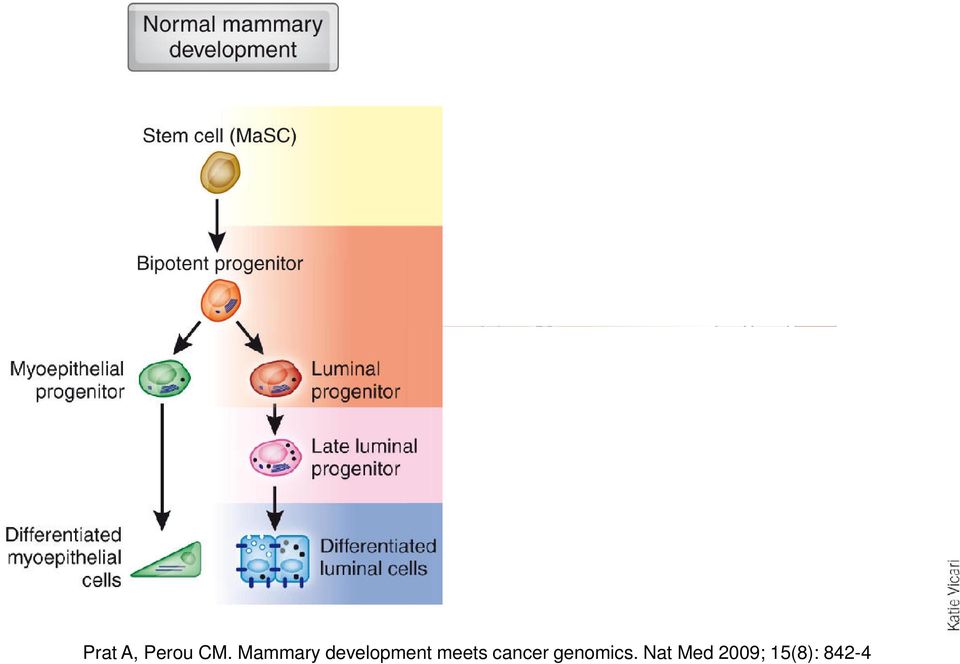 meets cancer genomics.