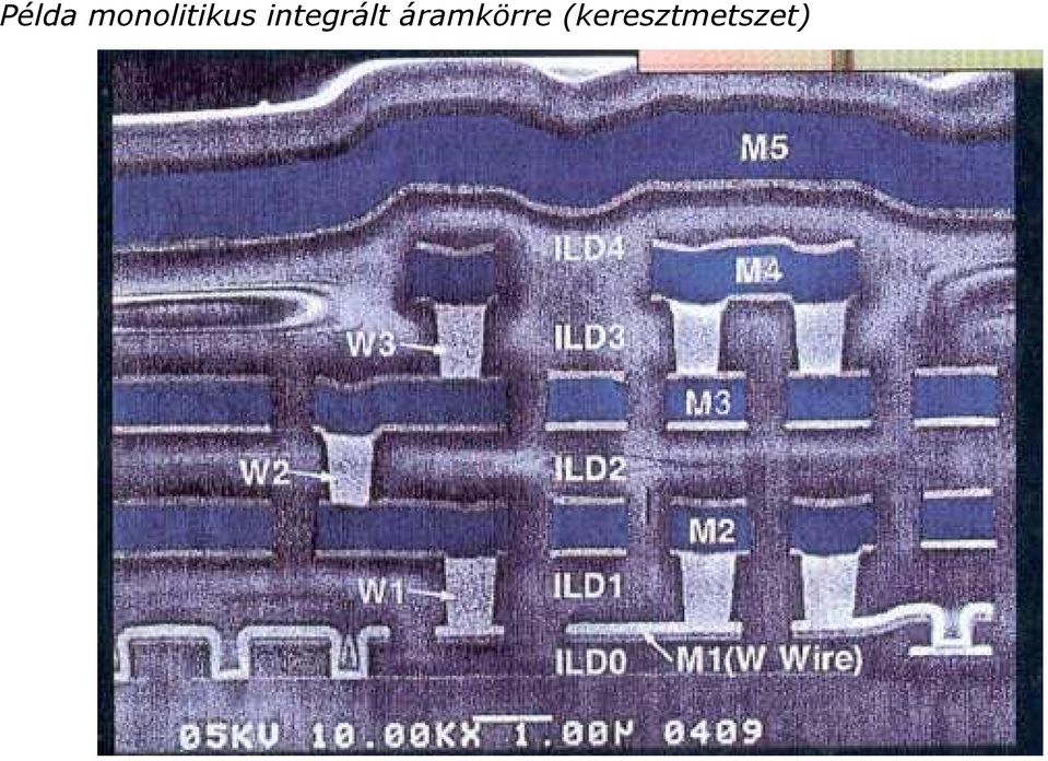 integrált