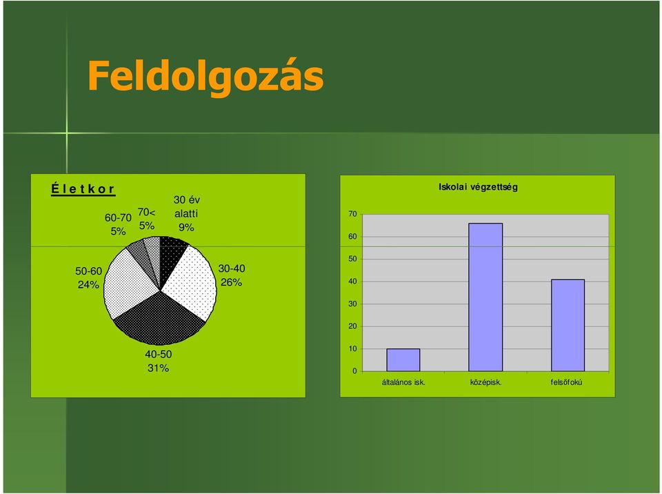 végzettség 50-60 24% 30-40 26% 50 40 30