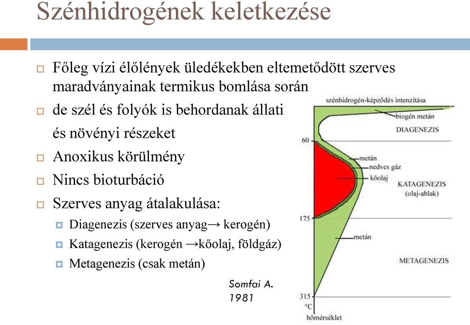 részeket Anoxikus körülmény Nincs bioturbáció Szerves anyag átalakulása: Diagenezis