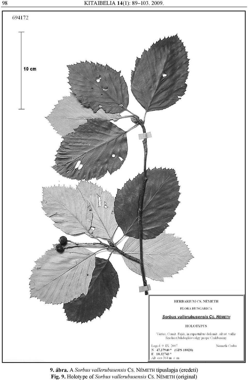 NÉMETH típuslapja (eredeti) Fig. 9.