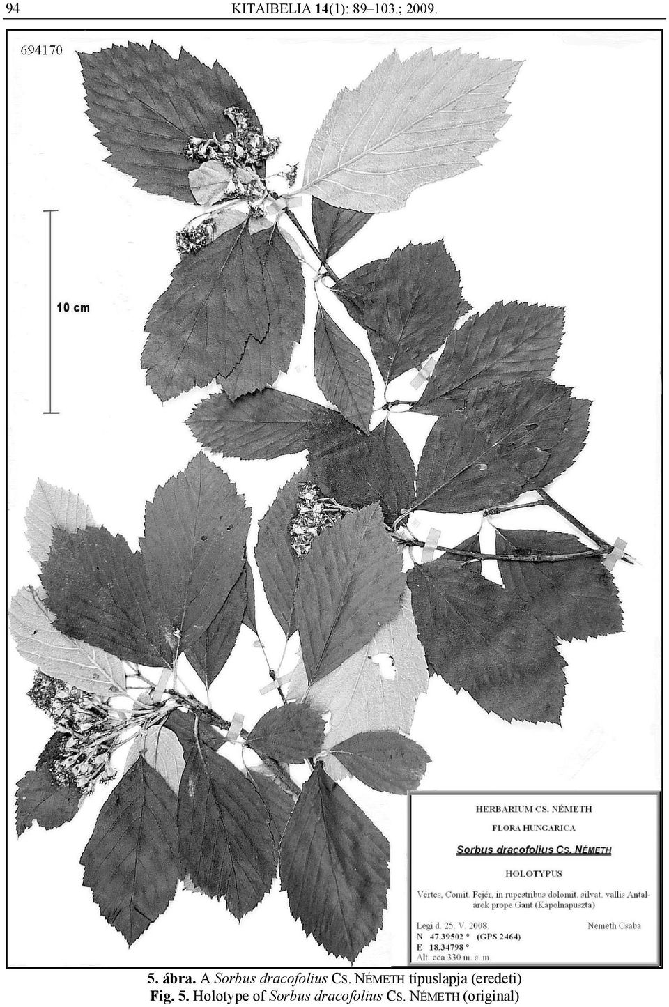 NÉMETH típuslapja (eredeti) Fig. 5.