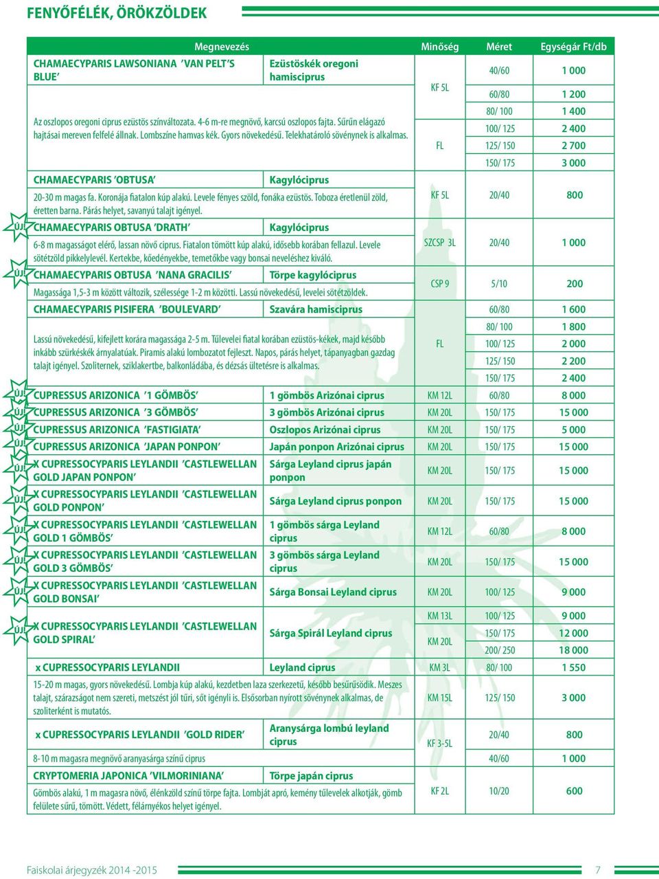 100/ 125 2 400 125/ 150 2 700 150/ 175 3 000 CHAMAECYPARIS OBTUSA Kagylóciprus 20-30 m magas fa. Koronája fiatalon kúp alakú. Levele fényes szöld, fonáka ezüstös. Toboza éretlenül zöld, éretten barna.