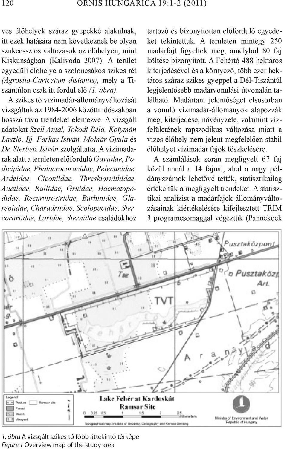 A szikes tó vízimadár-állományváltozását vizsgáltuk az 1984-2006 közötti időszakban hosszú távú trendeket elemezve. A vizsgált adatokat Széll Antal, Tokodi Béla, Kotymán László, Ifj.