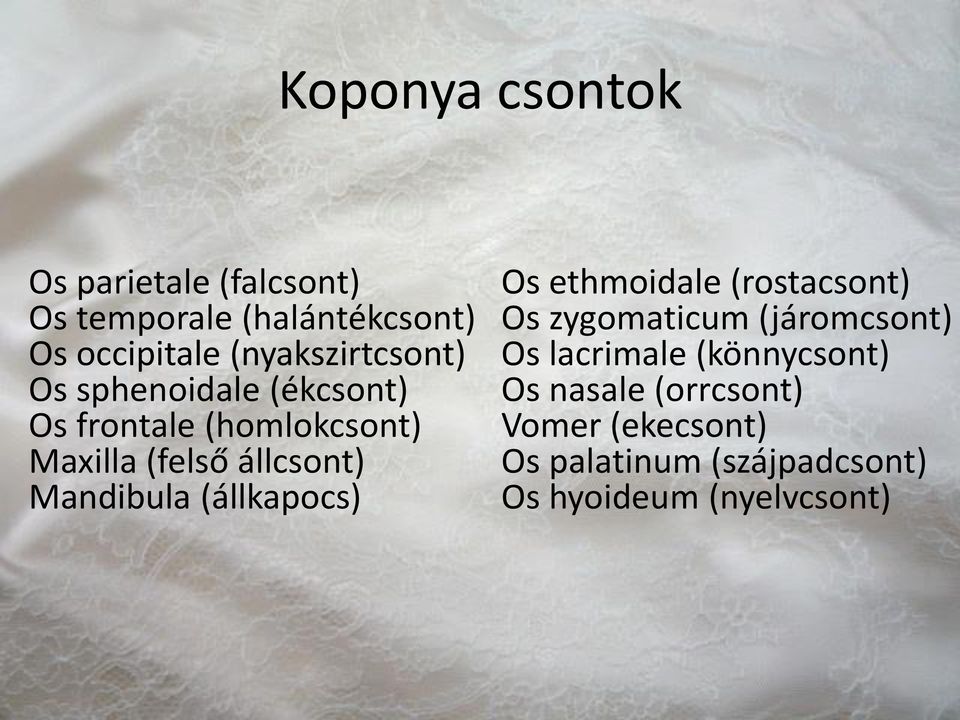 Mandibula (állkapocs) Os ethmoidale (rostacsont) Os zygomaticum (járomcsont) Os lacrimale