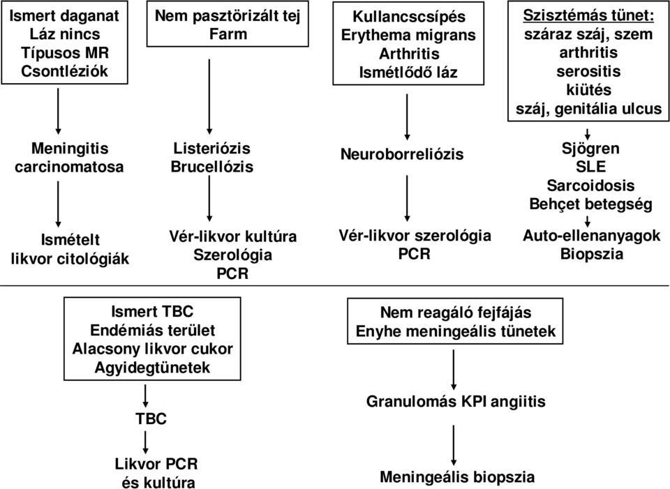 Behçet betegség Ismételt likvor citológiák Vér-likvor kultúra Szerológia PCR Vér-likvor szerológia PCR Auto-ellenanyagok Biopszia Ismert TBC Endémiás