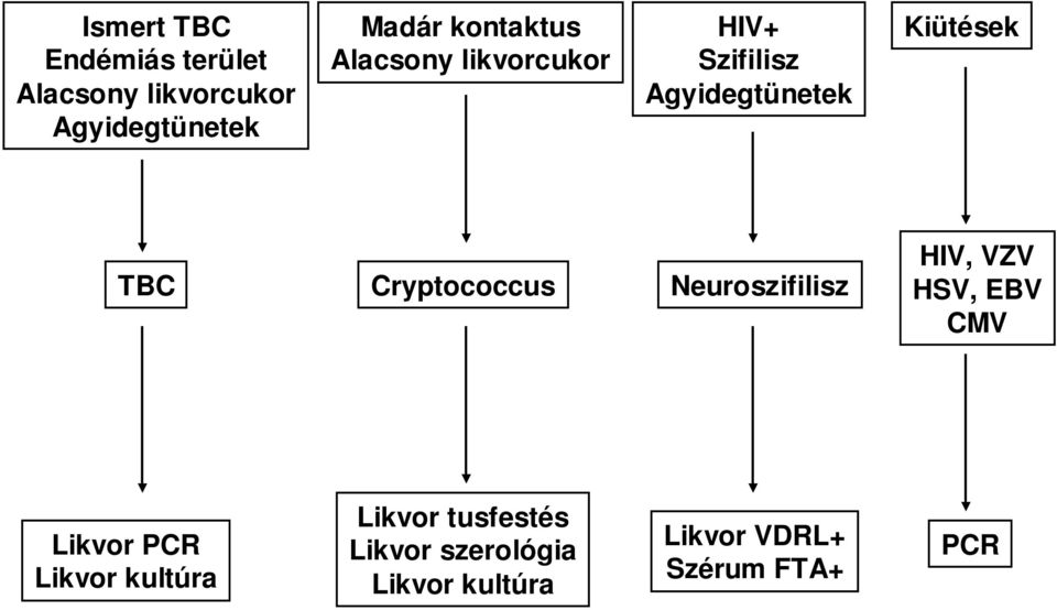 Cryptococcus Neuroszifilisz HIV, VZV HSV, EBV CMV Likvor PCR Likvor